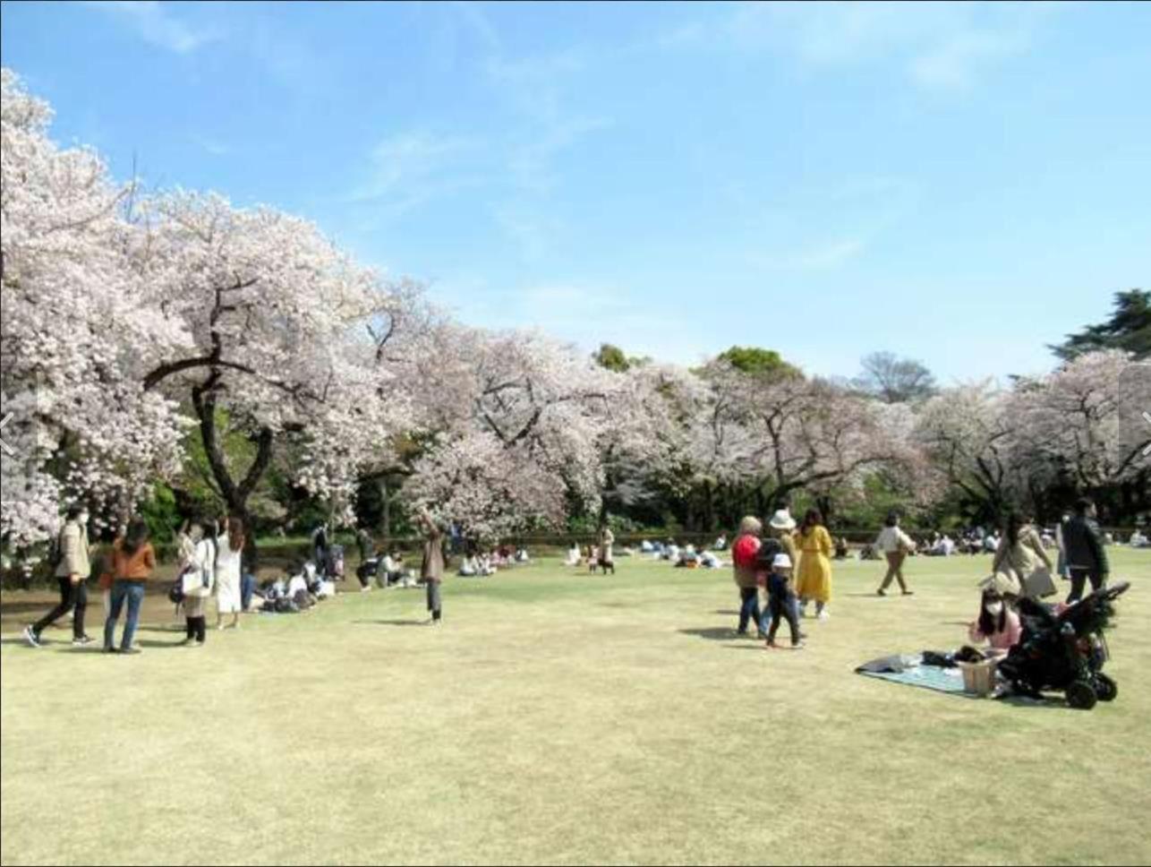 诚信东新宿 Tokyo Esterno foto